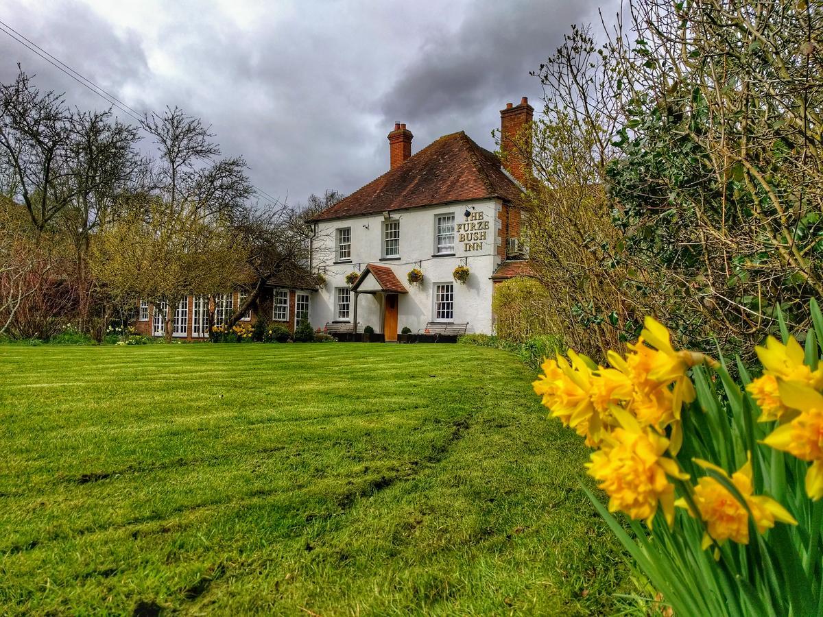 The Furze Bush Inn Newbury  Eksteriør billede